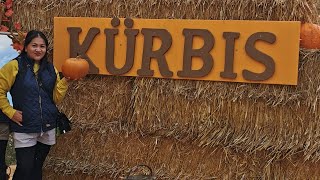 Pumpkin Patch Kürbishhof Wunderlich Stockerau Fall 2023 Ambits Community No Edit Video
