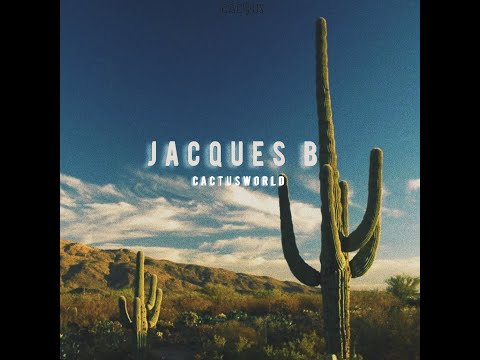 Jacques B WHAT TO DO OFFICIAL AUDIO