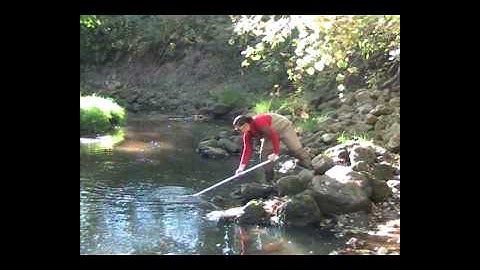 Total Phosphorus Sampling