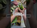 making spicy green beans and pickles #pickling #shorts