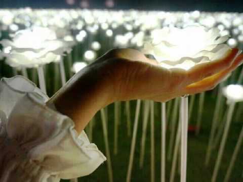 김상범 추락 ('00 발악(發樂) )