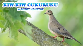 Download Lagu SOUND KIW KIW CUKURUKUK 30 MENIT FULL