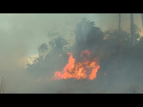 Video: Brasilien Lehnt 20 Millionen Dollar Ab, Um Bei Der Bekämpfung Von Amazonas-Bränden Zu Helfen