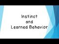 Instincts Versus Learned Behaviors in Animals