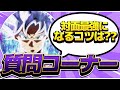 質問コーナー!登録者5万人記念!