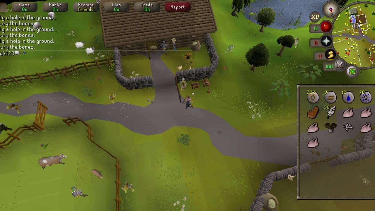 Chicken or beef? (OSRS) YouTube