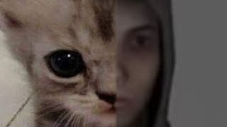 here's your full cry of fear fandom