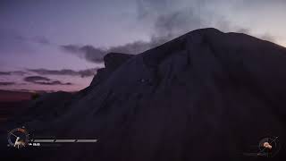 sand trampler bug