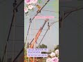 ALLUMINIUM HANGER. #alluminium #hangermanufacturer
