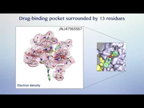 Video: CD39 Yra Neigiamas P2X7 Sukelto Uždegiminių Ląstelių Mirties Reguliatorius Stiebo Ląstelėse