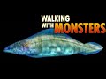 Walking With Monsters 2005 Haikouichthys Screen Time Walking With Monsters 2005 Haikouichthys Screen Time