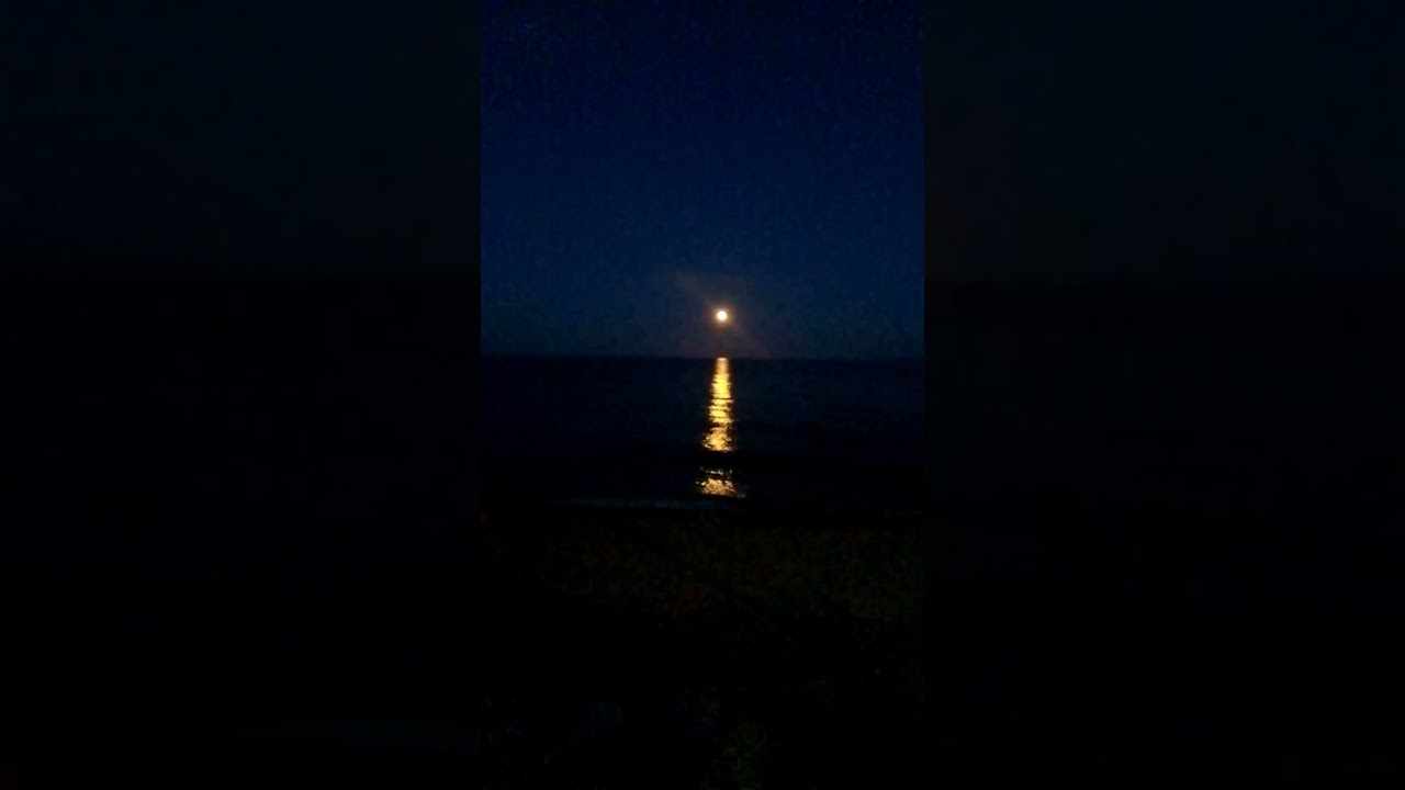Whispers of the Moon and Sea 