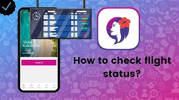 How to check flight status on Hawaiian Airlines?