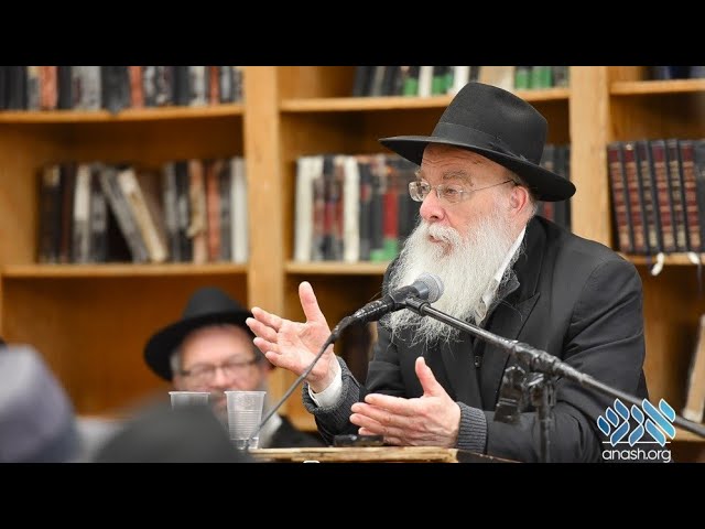 R' Tzvi Telsner: Matanos for 11 Nissan in Limud Hatorah | ר' צבי טלזנר: מתנות לי"א ניסן בלימוד תורה