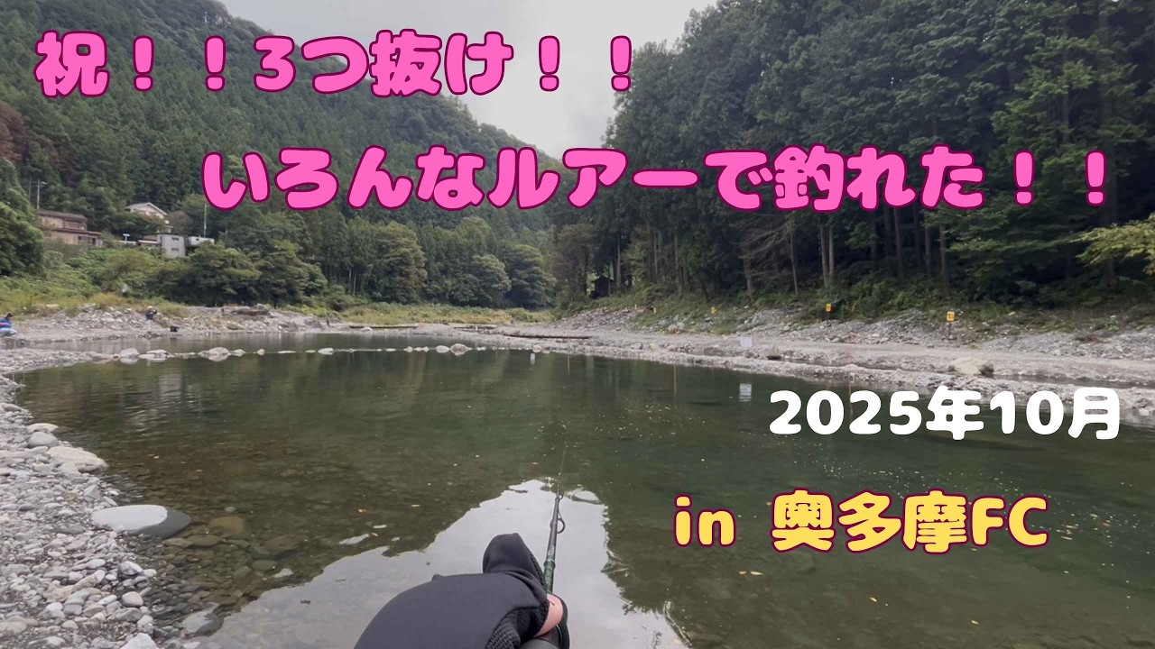 祝！！３つ抜け！！色んなルアーで釣れた！！【#奥多摩フィッシングセンター - 2025年10月】#エリアトラウト