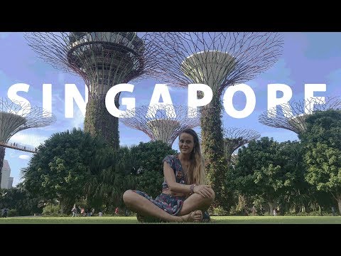 Video: Duh Djevojke U Noćnom Baru U Singapuru - Alternativni Pogled