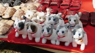 Hmong New Year - Georgia 2025