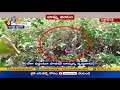 Rajasthan: Vaccine fear drives 70-year-old woman to hide in bushes
