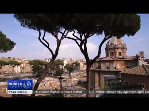 Rome’s iconic pine trees under threat