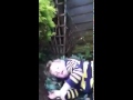 Kid gets kicked over