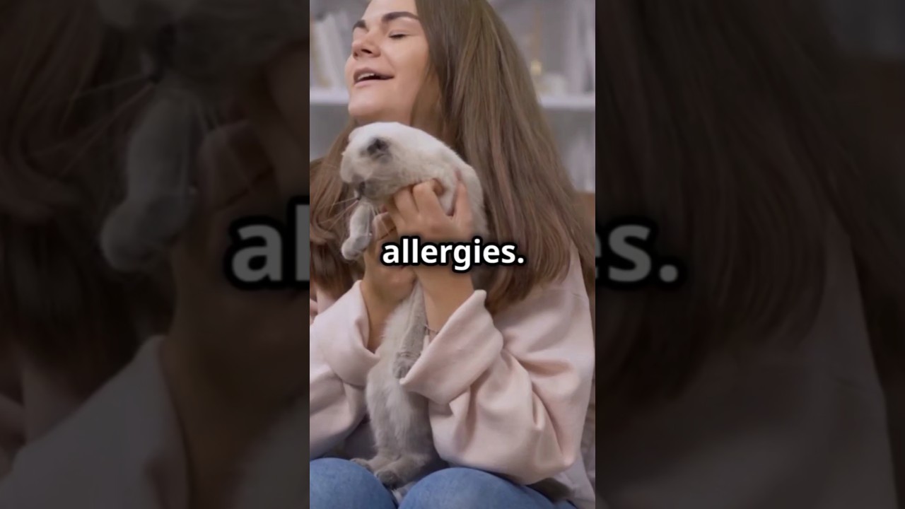 Common Health Issues in Bengal Cats Every Owner Should Know 🐆⚠️