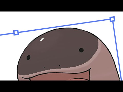 basically clodsire
