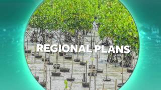 The Climate-Resilient Islands Partnership