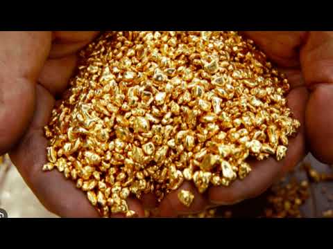     2025 2026         2025