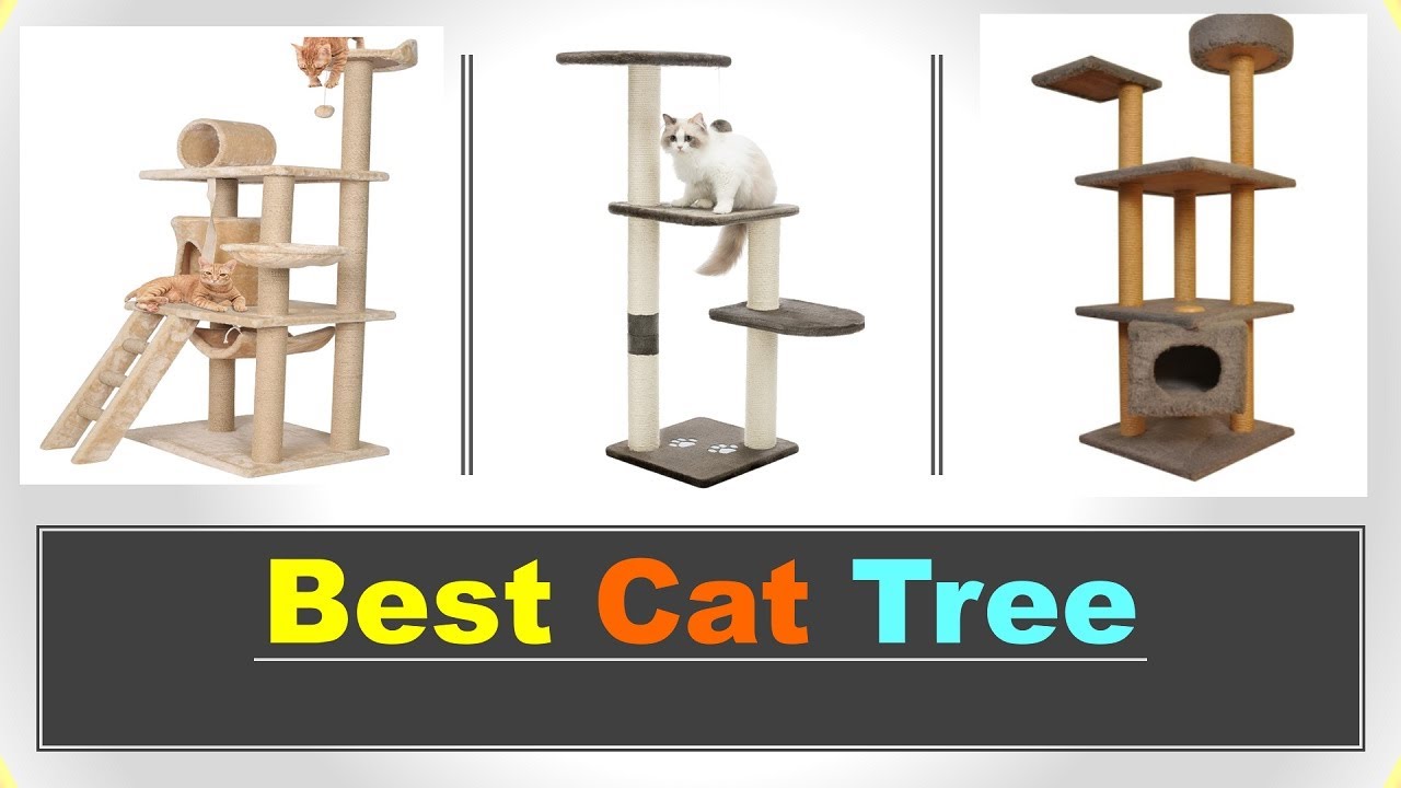 96 inch cat tree