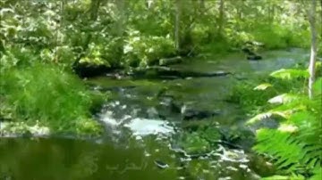 حزب 5 من سورة البقرة للمقرئ المغربي مصطفى أمنشار حفظه الله