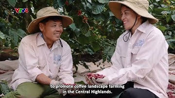 Mô hình cafe cảnh quan bền vững | VTV4