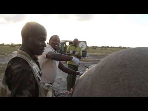 ivory body wash Treating icon 'Tim'