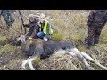 ОХОТА НА ЛОСЯ. 3.11.18 ДЕВЧОНКИ НА НОМЕРЕ И В ЗАГОНЕ .HUNTING ELK. 3.11.18