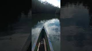 menelusuri semak belukar menunju pulau taningkola