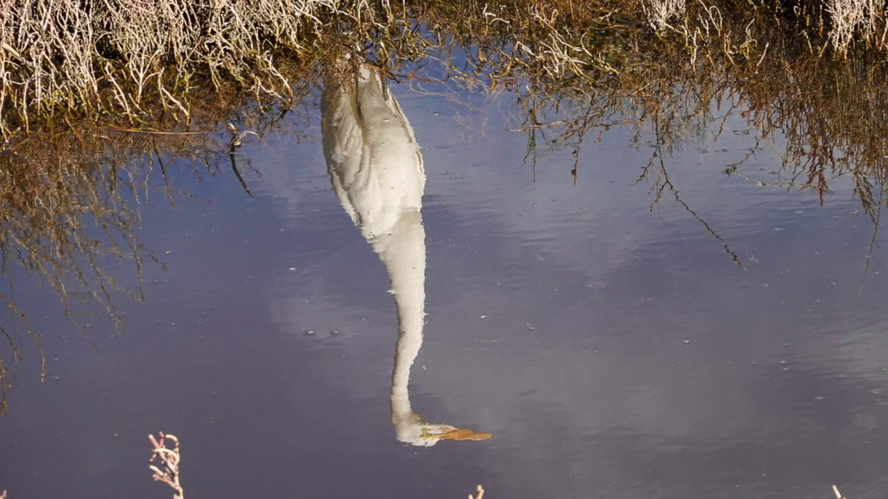 Pismo Beach- January 2020