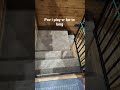 subscribeeeeee