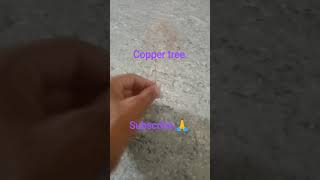 I will make a copper tree with home best wire