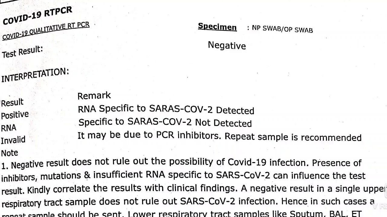 Covid-19 RT PCR report - YouTube