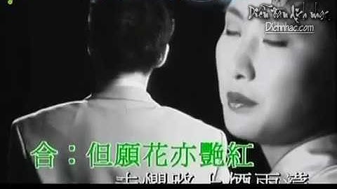 相思風雨中   Tương tư trong mưa gió   Trương Học Hữu & Thang Bảo Như   YouTube