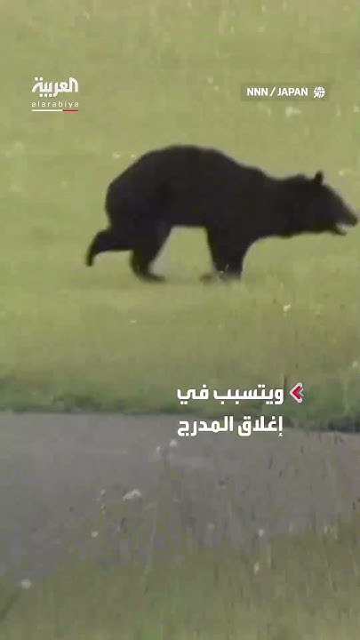          
 - نشر قبل 13 دقيقة