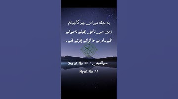 Surat No 40 : سورة مومن - Ayat No 75