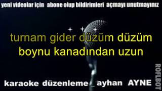 Anlat Turnam  karaoke türkçe Resimi