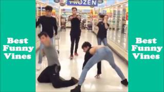Celebrity Lucas and Marcus Vine Dance Compilation | 2017 Net Worth