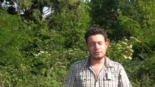 2015week25 05 Camiel