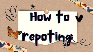 Repoting