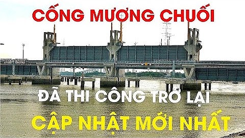 Dự án ngăn triều 10.000 tỷ.Cửa cống Mương Chuối.Tái thi công trở lại .Cập nhật mới nhất.
