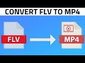 How to Convert FLV to MP4