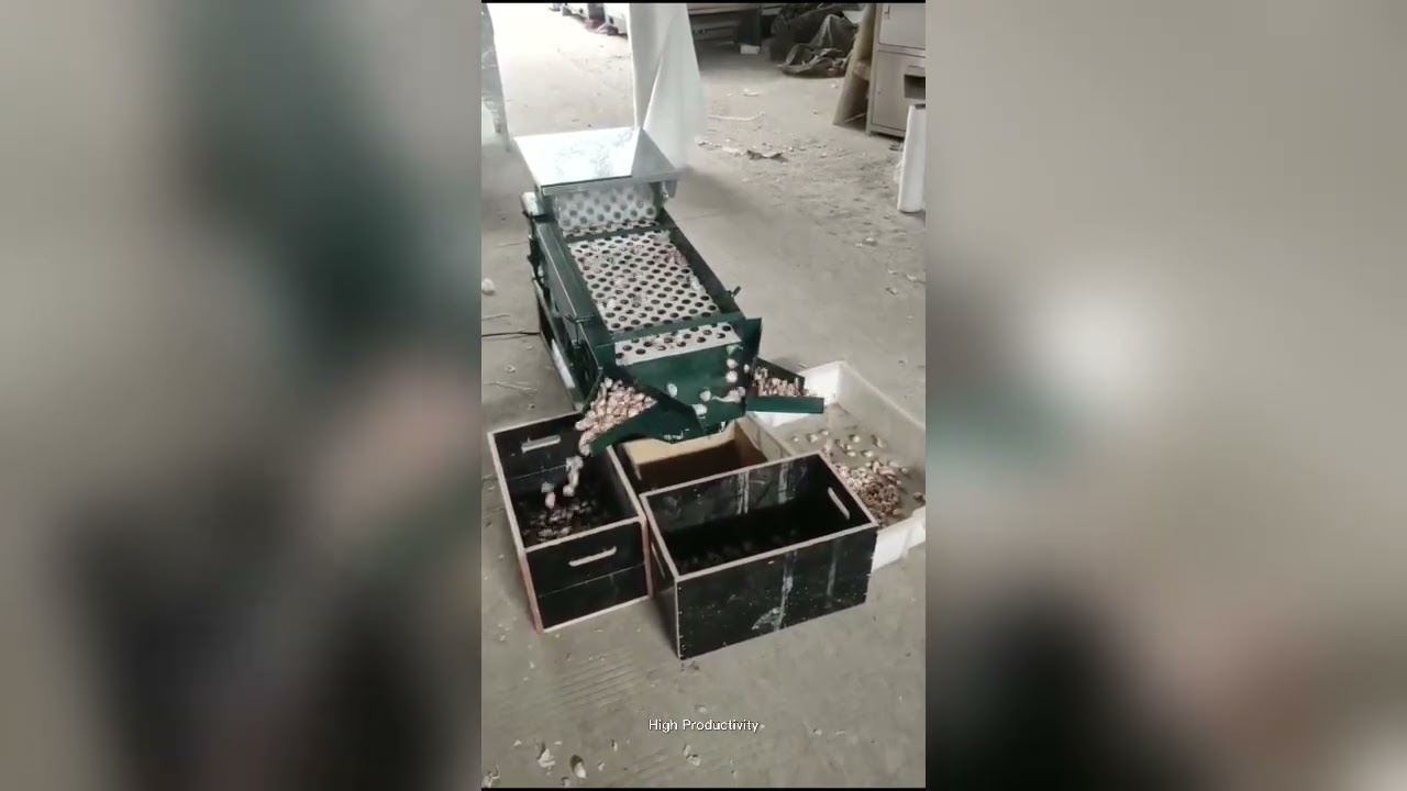 Video of  Garlic Clove Sorting Machine