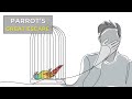 The parrots great escape  going beyond armchairs