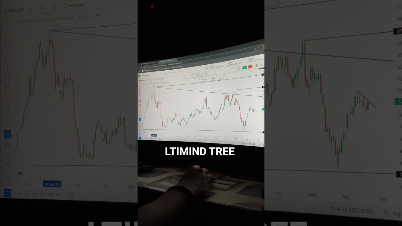 LTIMIND TREE | my view | 